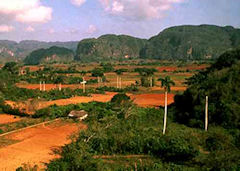 vinales